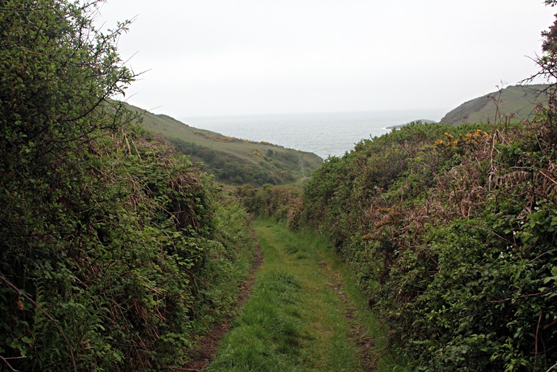 track to Caerbwdy Bay 2011